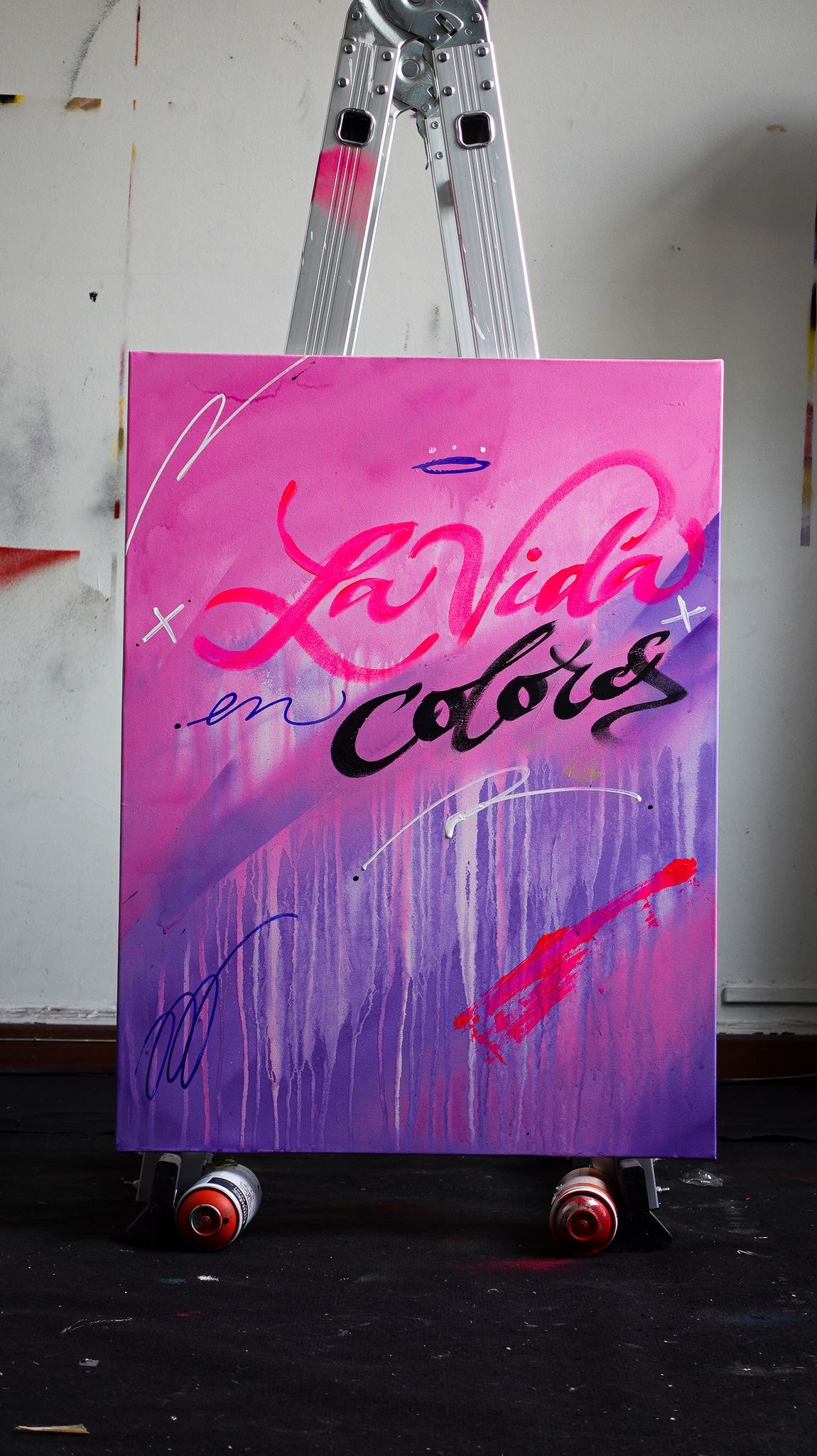 CANVAS - "LA VIDA EN COLORES"